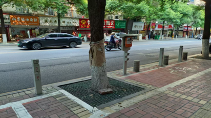府星路社区：公共充电桩“上岗”解民忧